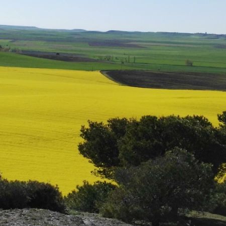 Mota del Marqués La Aldea Colorada 아파트 외부 사진