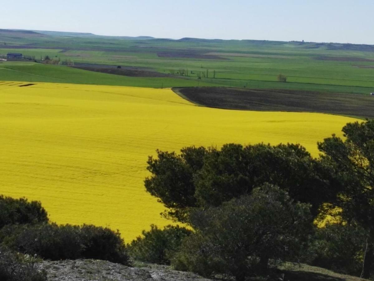 Mota del Marqués La Aldea Colorada 아파트 외부 사진