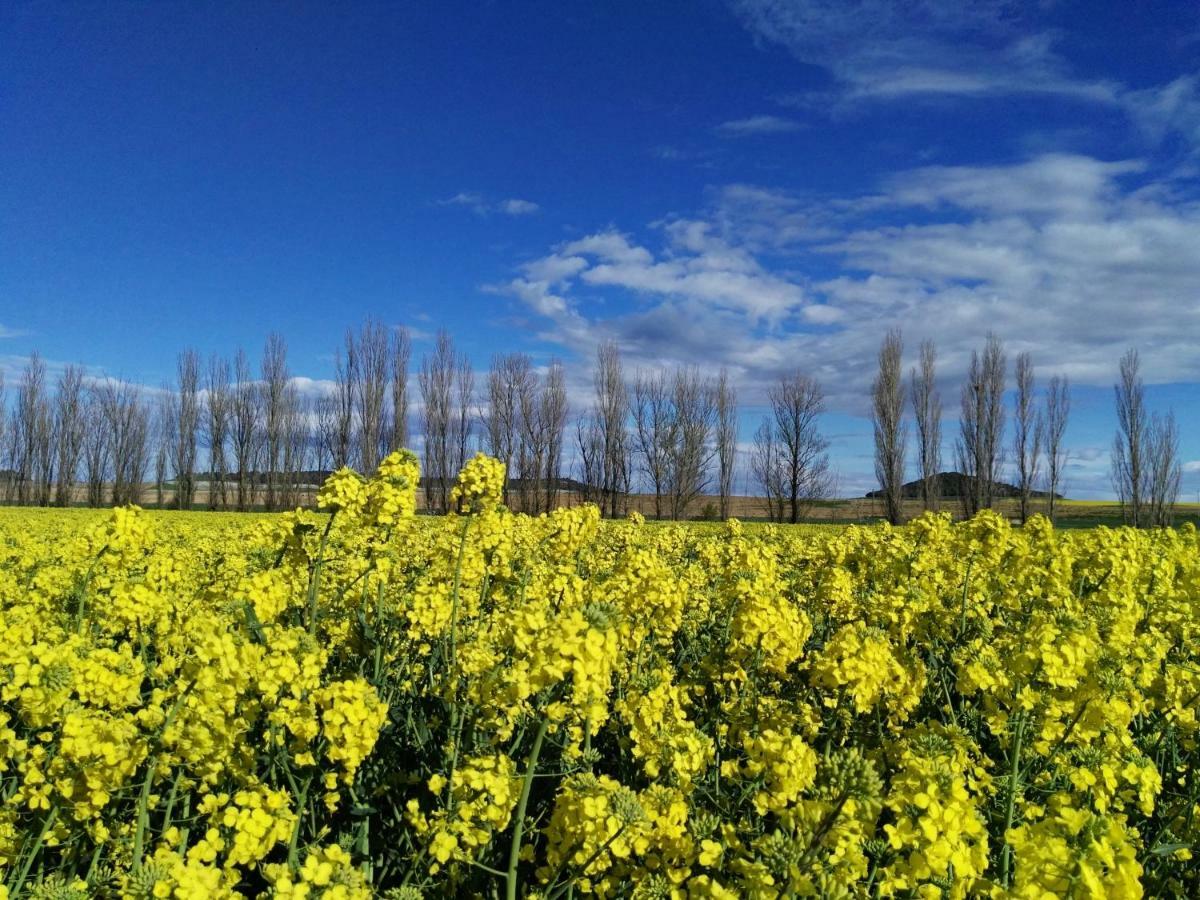 Mota del Marqués La Aldea Colorada 아파트 외부 사진